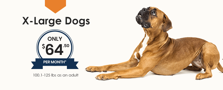 X-Large Dogs Wellness Plan, Thomasville Veterinary Hospital Urgent Care + Surgery