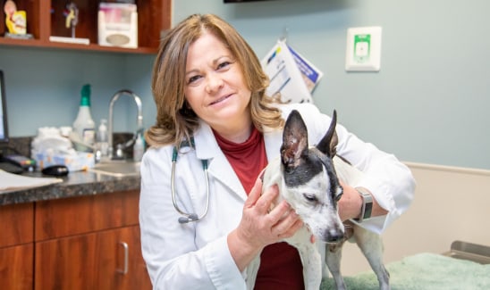 About Thomasville Veterinary Hospital Urgent Care + Surgery